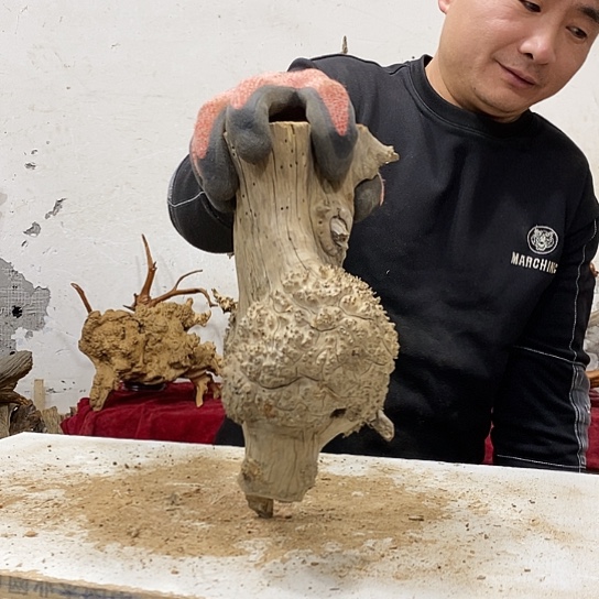 工***品柏木我们都是好孩子