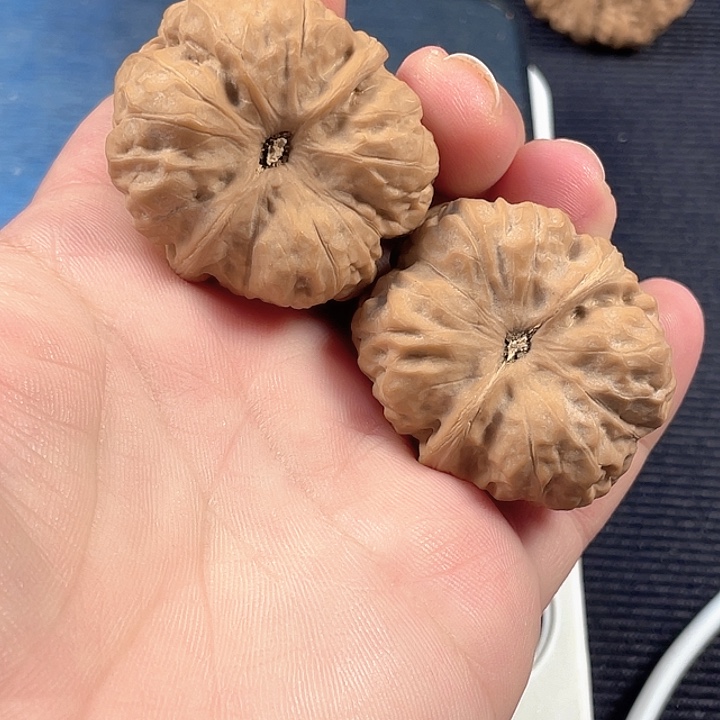 痞***选文玩核桃吊坠蛙蛙