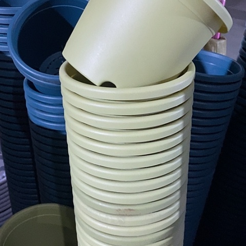 树脂四季2号果绿无托12个