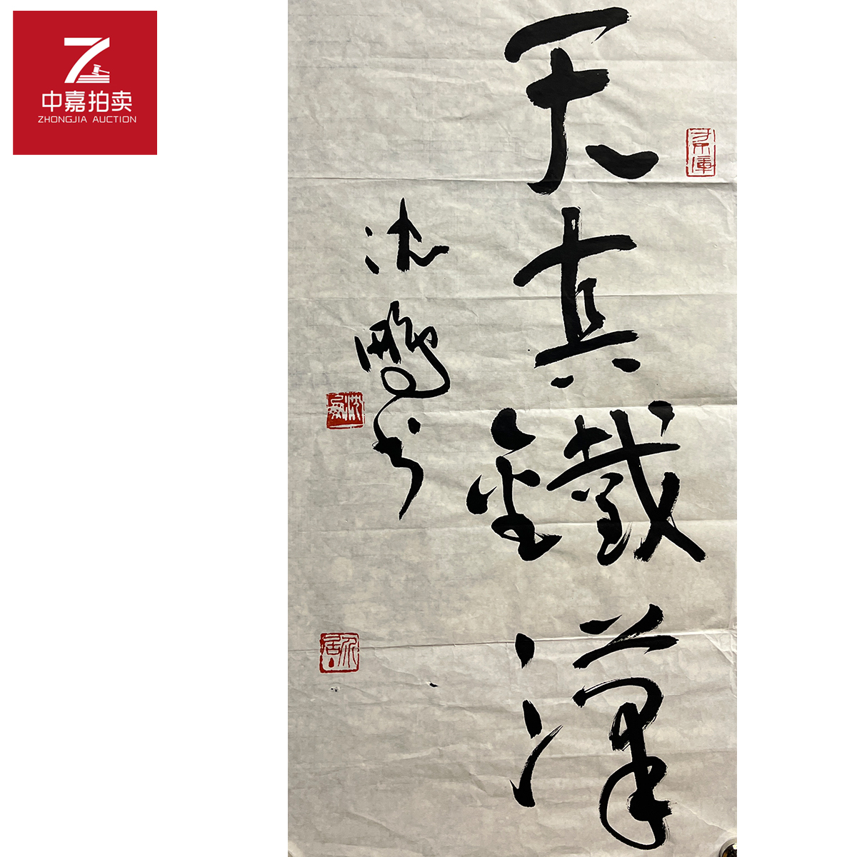 沈鹏书法软片天真35x69