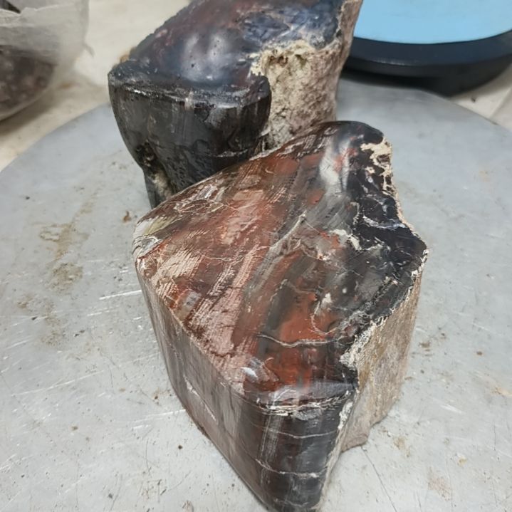 闲***寻石材新疆奇台玉化硅化木