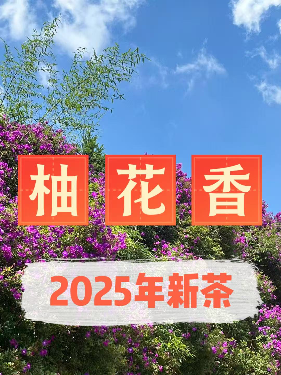 （柚花香）佩佩单丛 2025春季柚花香香果香清甜 乌龙茶（包装随机）