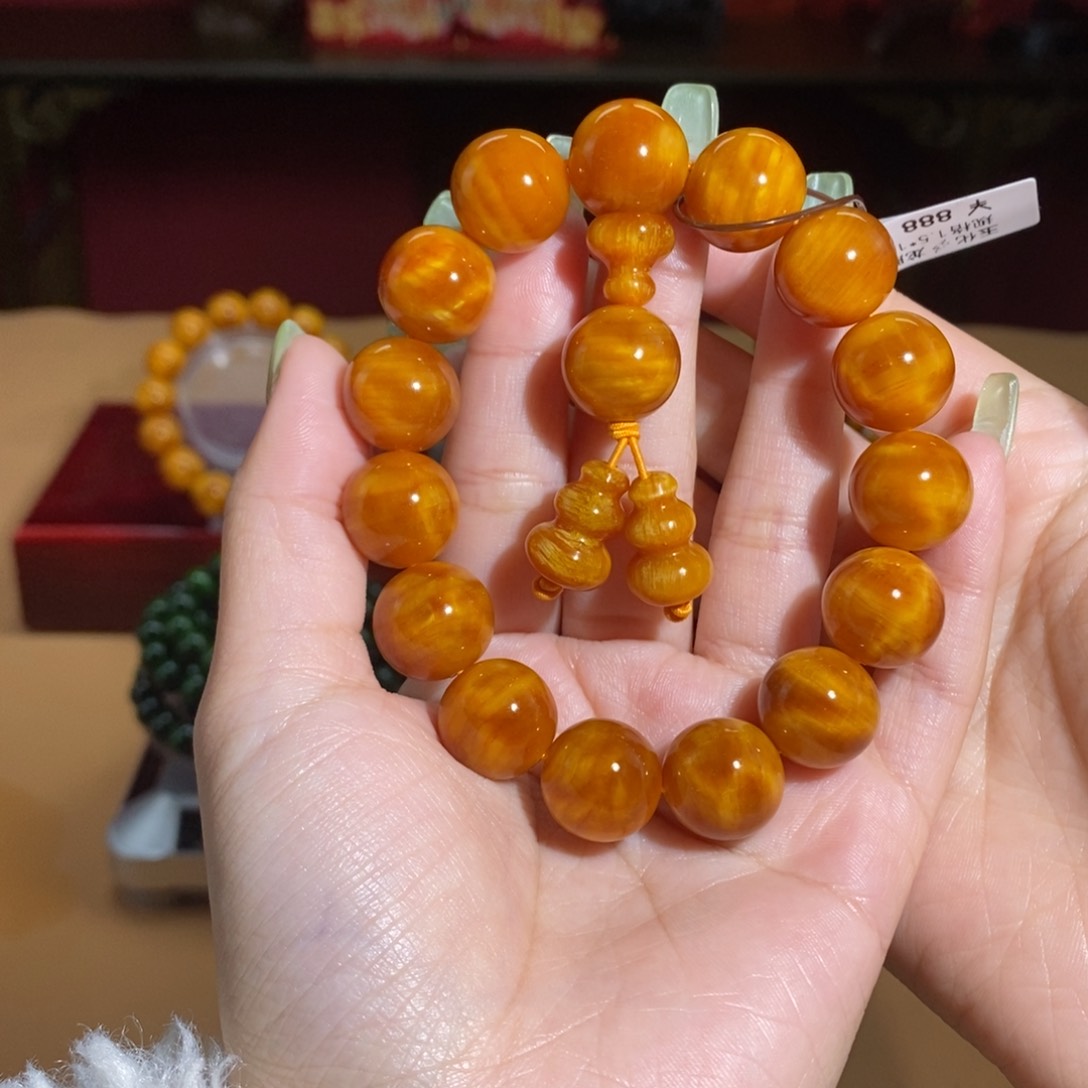 贝壳杉帝王血龙木1.5雷击龙胆玉华高货