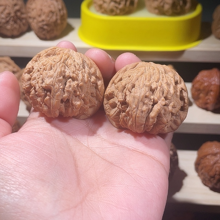 41雪域狮子头核桃全品白茶