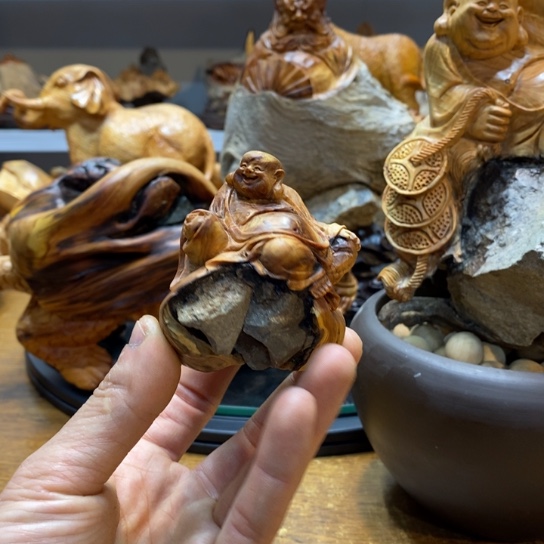 柏木（崖柏）太行崖柏