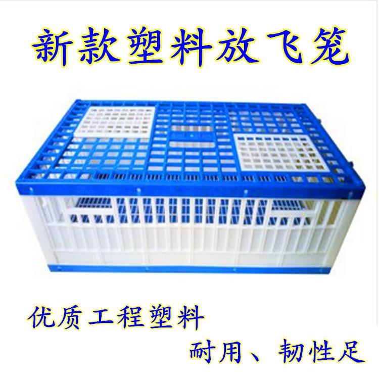 塑料鸽子放飞笼训放笼信鸽笼报道笼集鸽笼鸽具用品用具易清理
