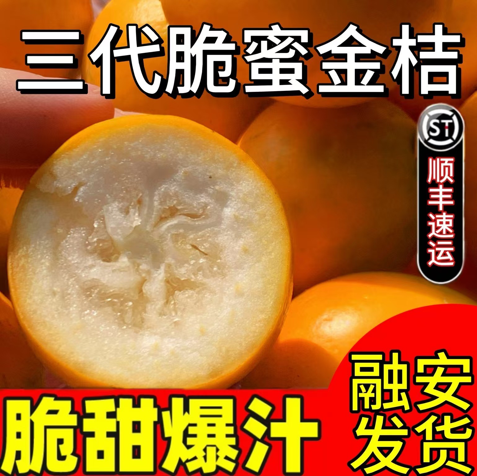 融安发货第三代脆蜜金桔（箱装）正宗脆蜜金桔清甜纯甜清脆健康甄选