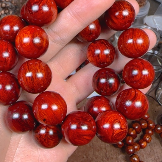 藤类木本2.0海南红降果冻鸽血红