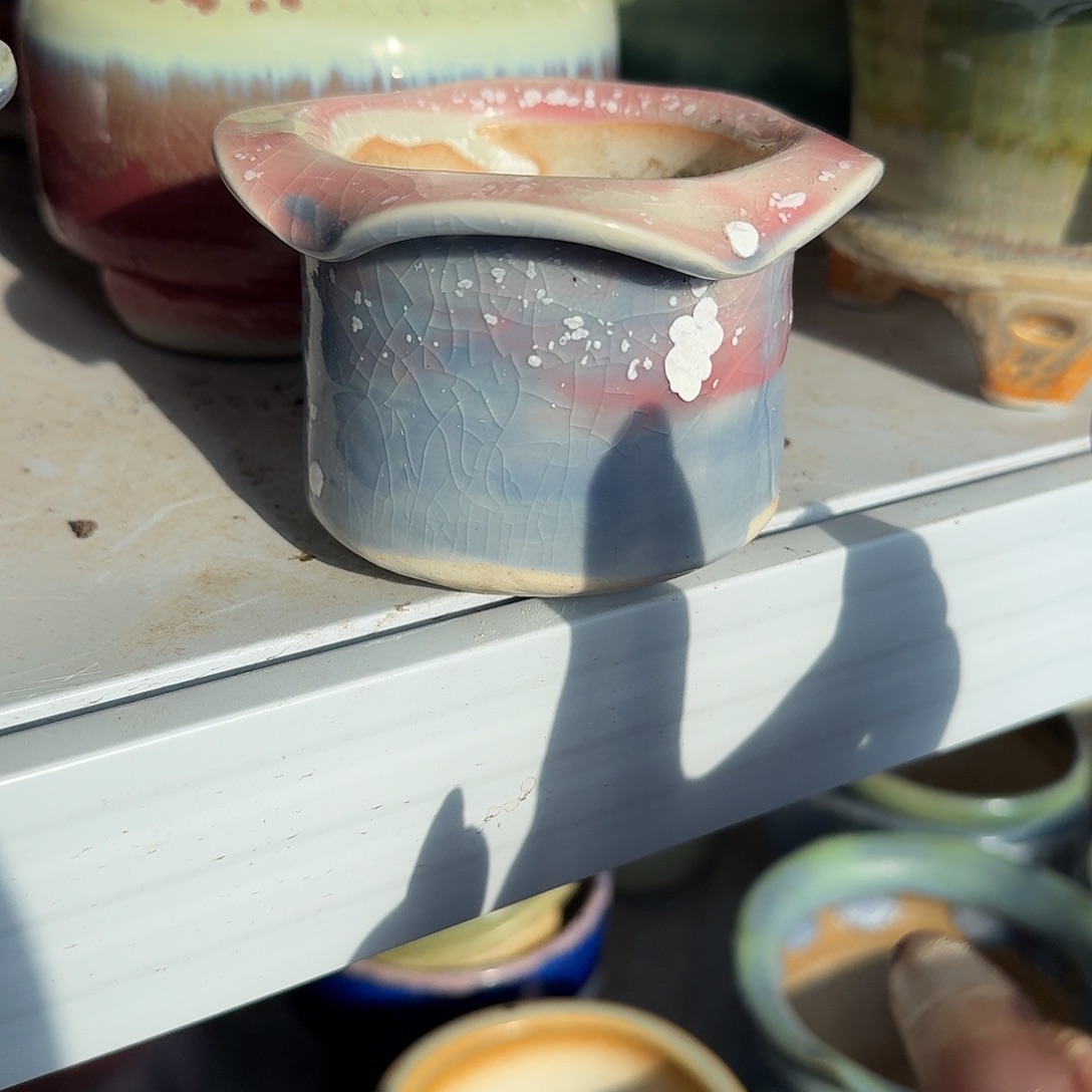 花边手捏花盆多肉