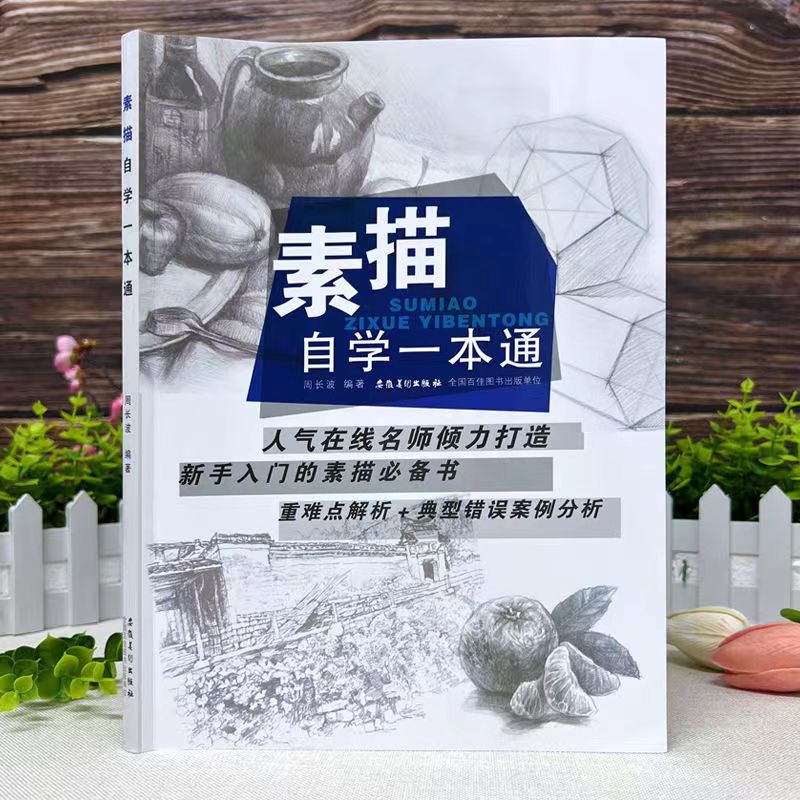 素描自学一本通：新手入门的素描必备书
