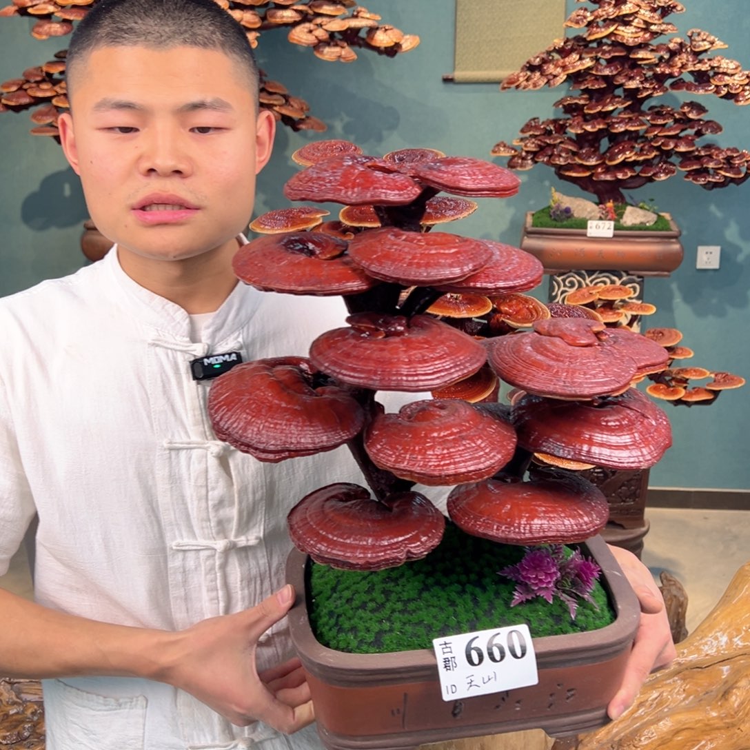 天***主无花朵888888888888