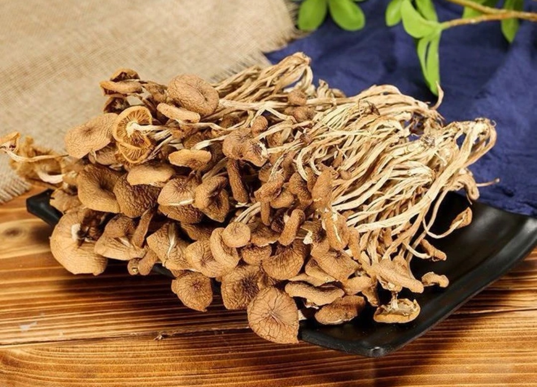 【茶树菇】代购嫩香茶树菇美味营养