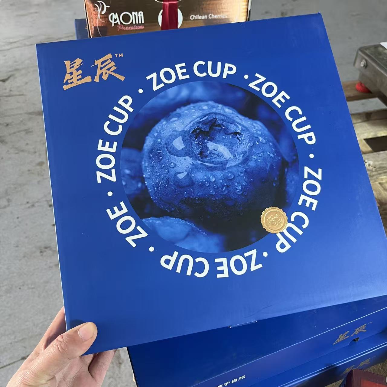 星晨蓝莓杯9杯1.8斤云南省