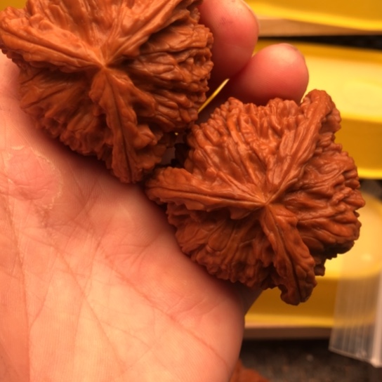 明***好文玩核桃把件核桃等
