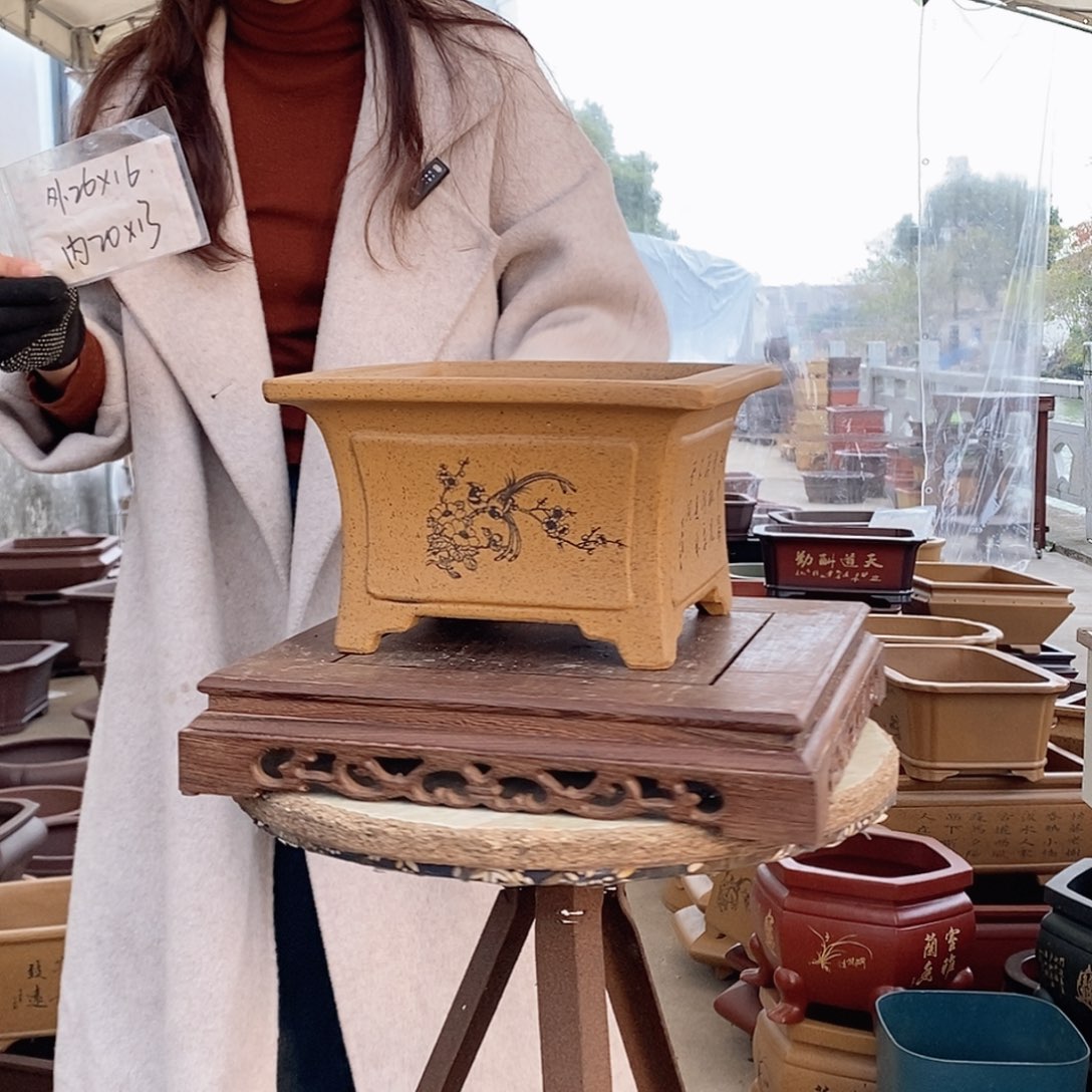 紫砂花盆紫砂花盆