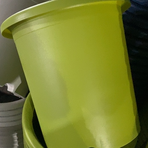 树脂四季7号果绿无托6个微瑕