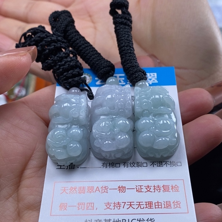 翡翠未镶嵌颈饰多人貔貅