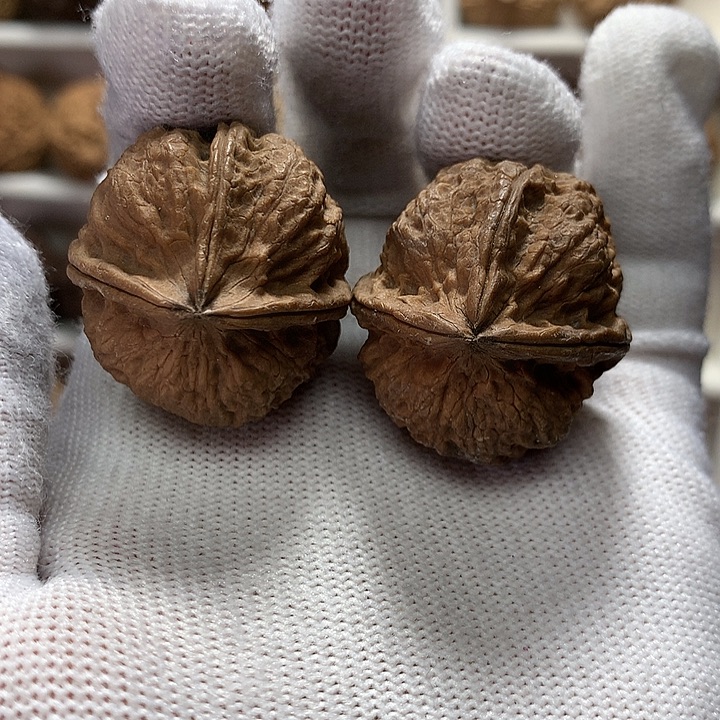 核桃32尺迷你小三棱手拟5号