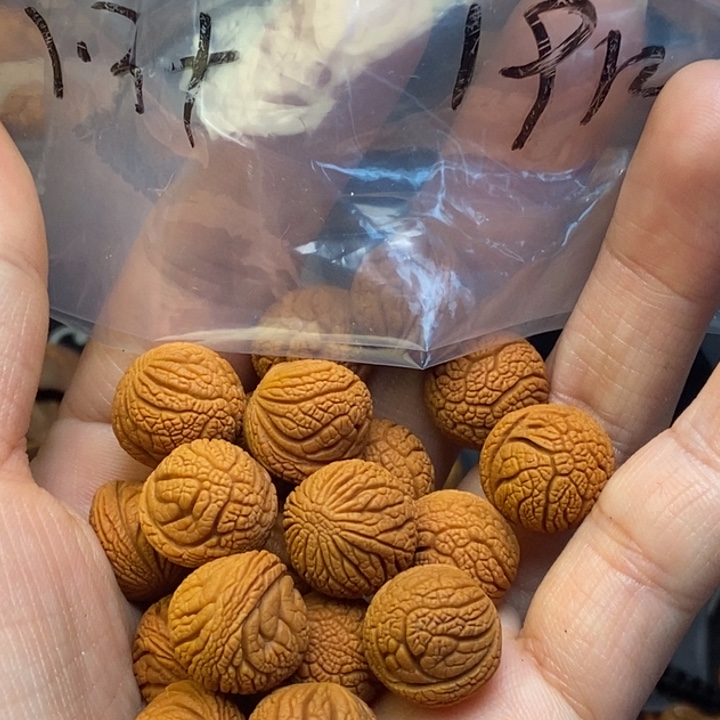 吊坠桃核秦岭龙纹桃核13尺寸