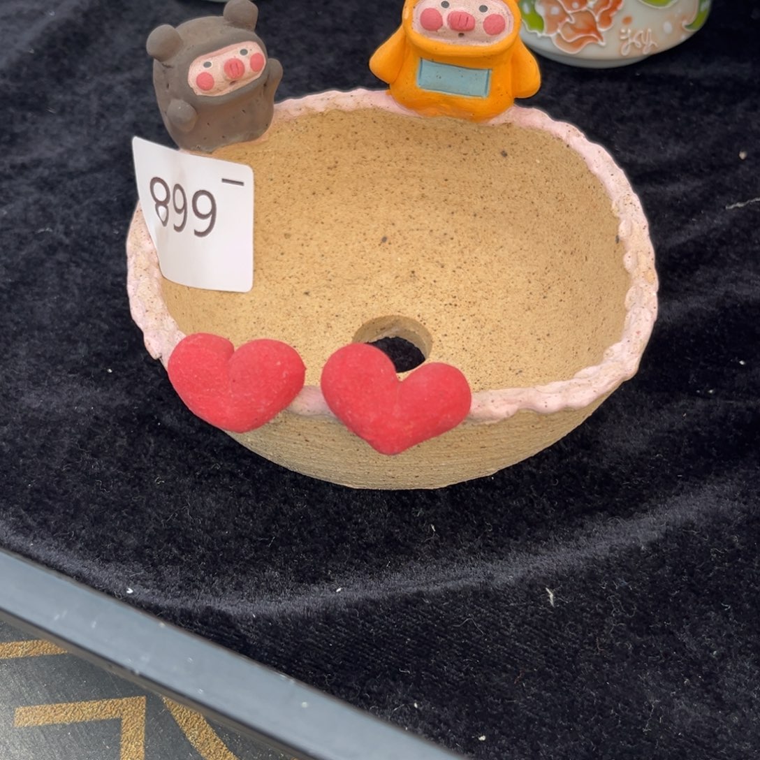 是***！698多肉花盆   1个