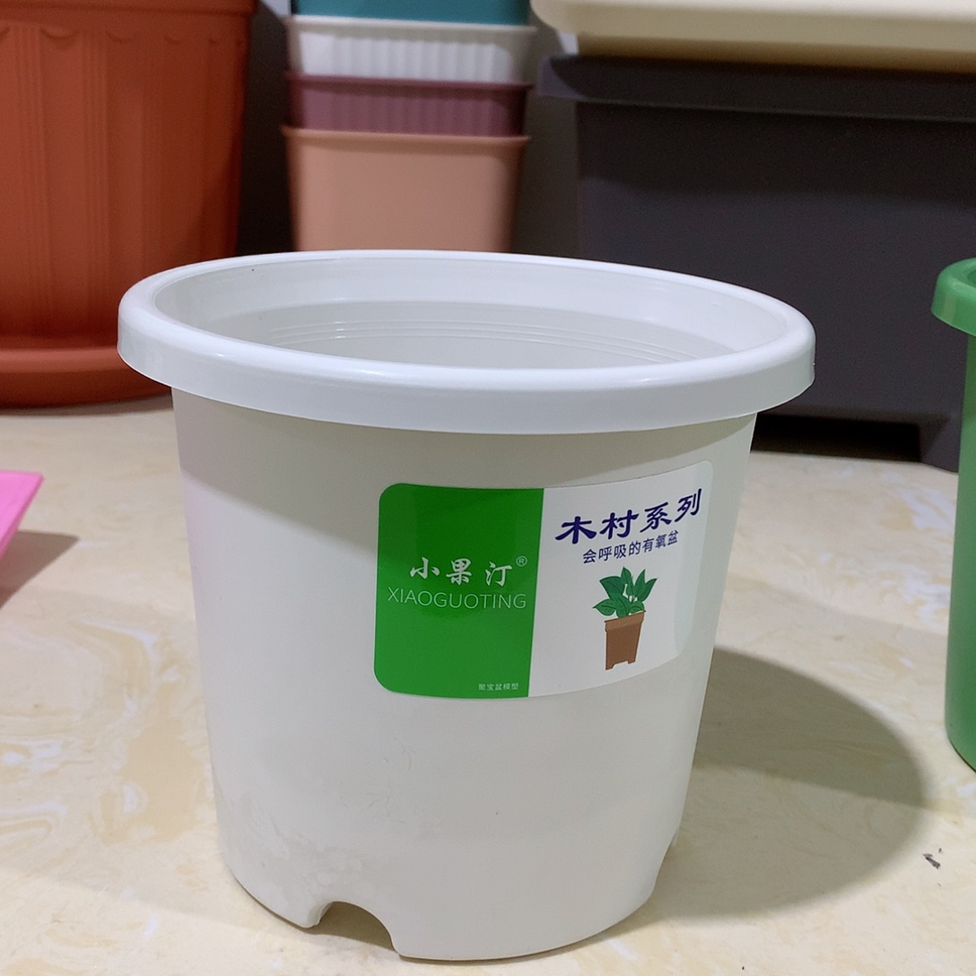 树脂四季口15白10个无托