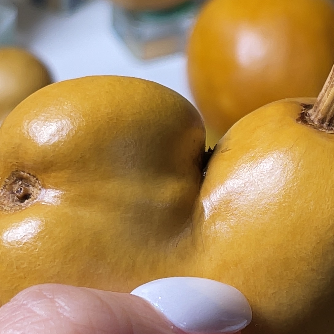 友***A葫芦葫芦葫芦葫芦