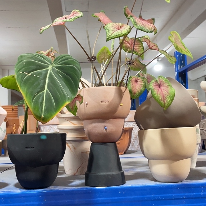 口14×14     备注颜色发1   不含绿植