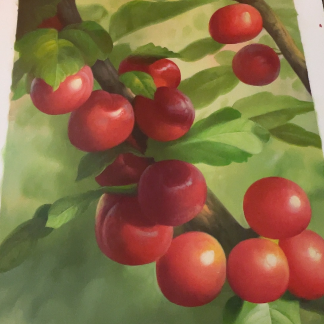 油画油画作品50/60画心