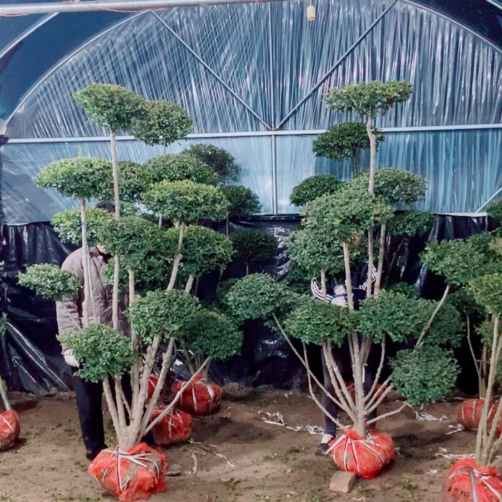 文*一物一拍一物一拍