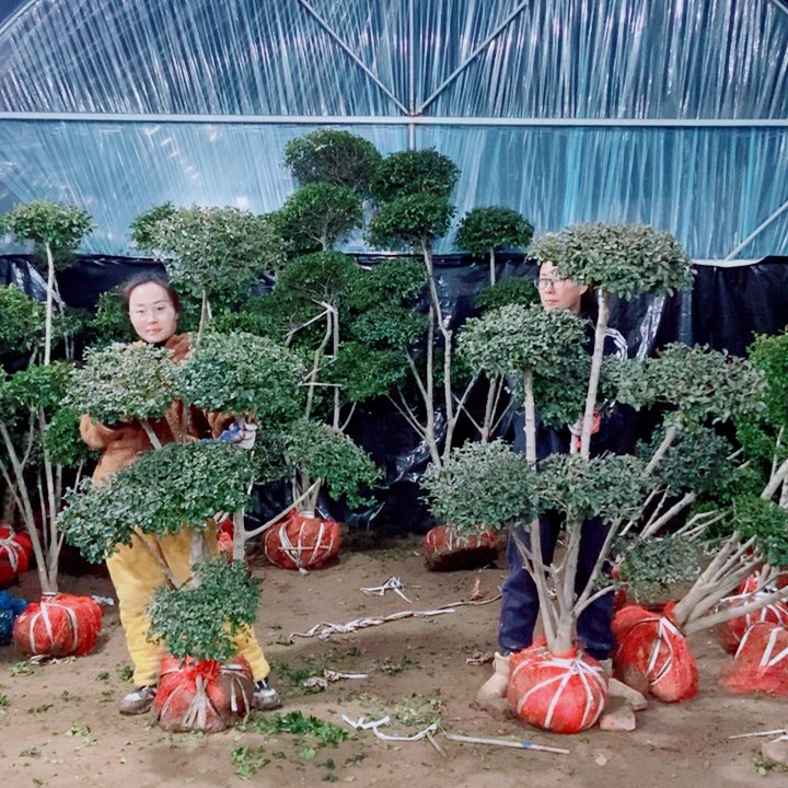 一物一拍一物一拍