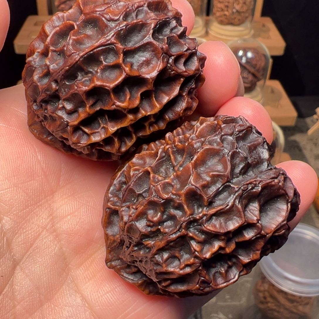 文玩核桃把件凤凰牡丹47mm