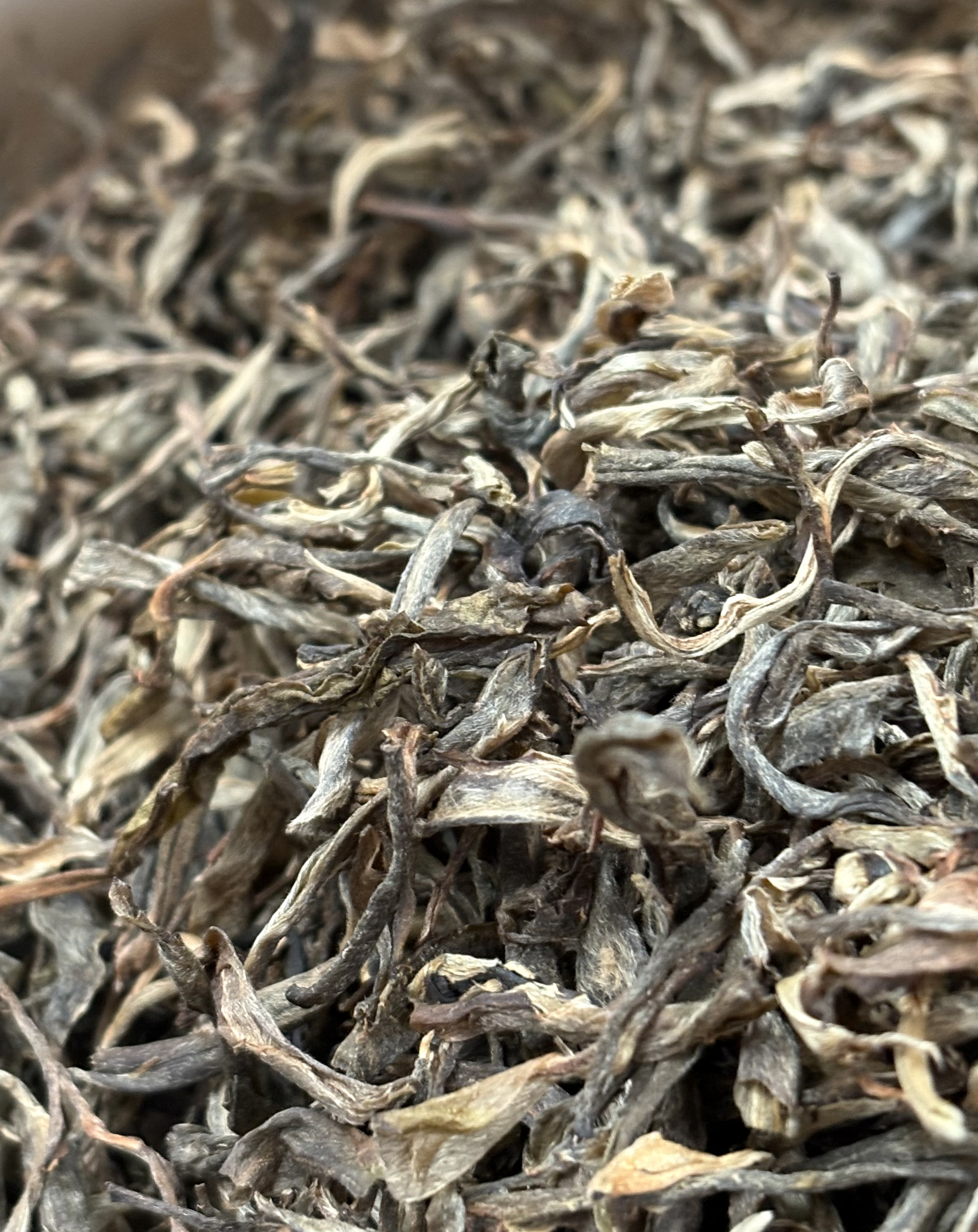 邦东 那罕贡茶 古树  普洱茶散茶200克