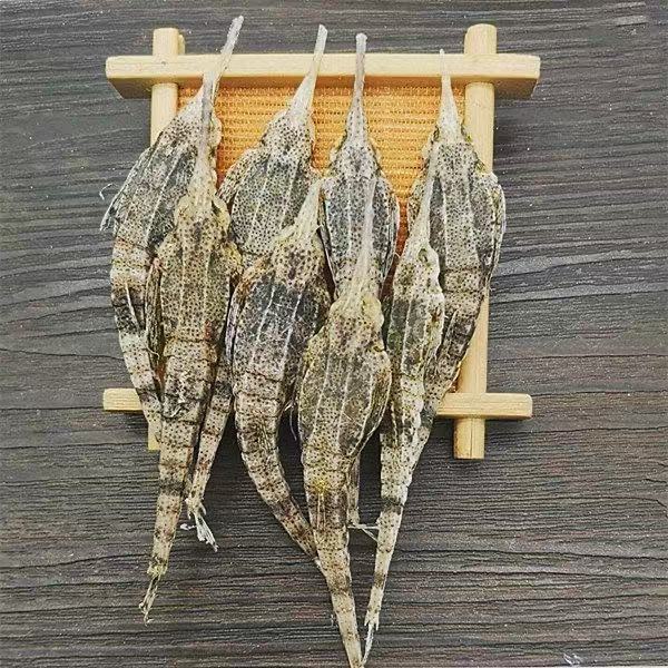  海燕 海麻雀干 海燕子包邮海产品干货煲汤泡酒滋补品