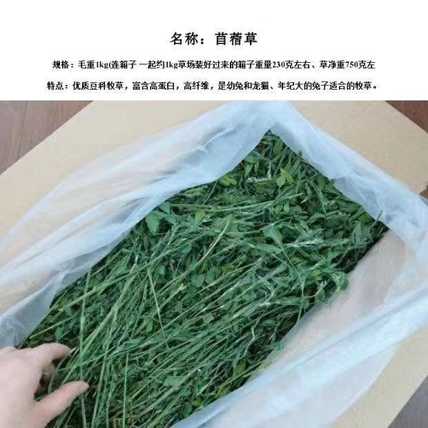 紫花苜蓿草 2025新香脆营养烘干毛重1KG宠物兔龙猫豚鼠苜蓿干草粮