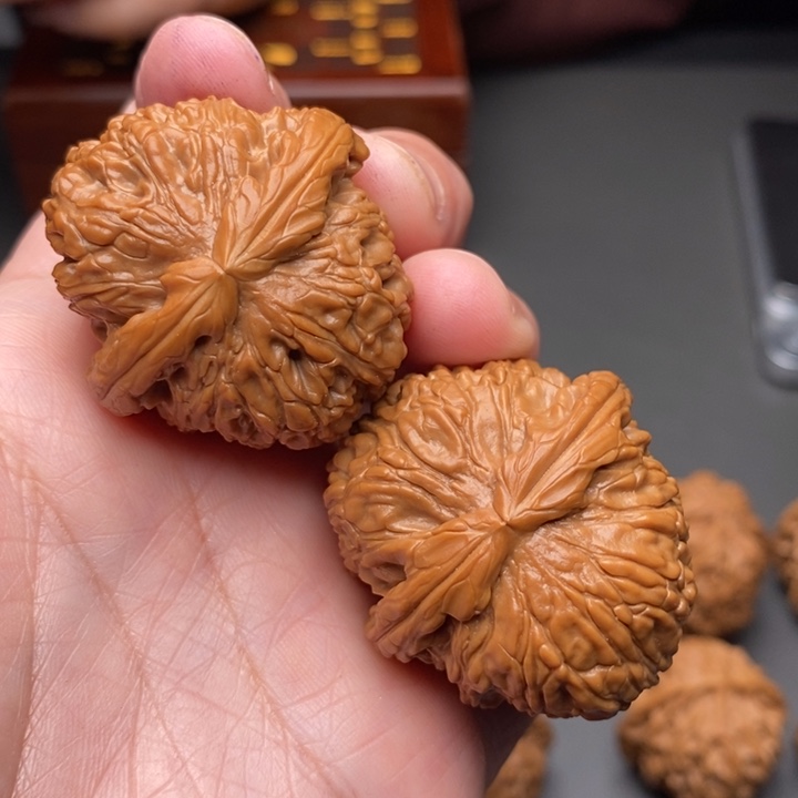 文玩核桃把件白狮子38