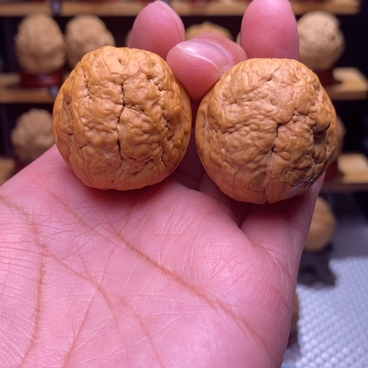 木质类云铁肌肉达摩108号