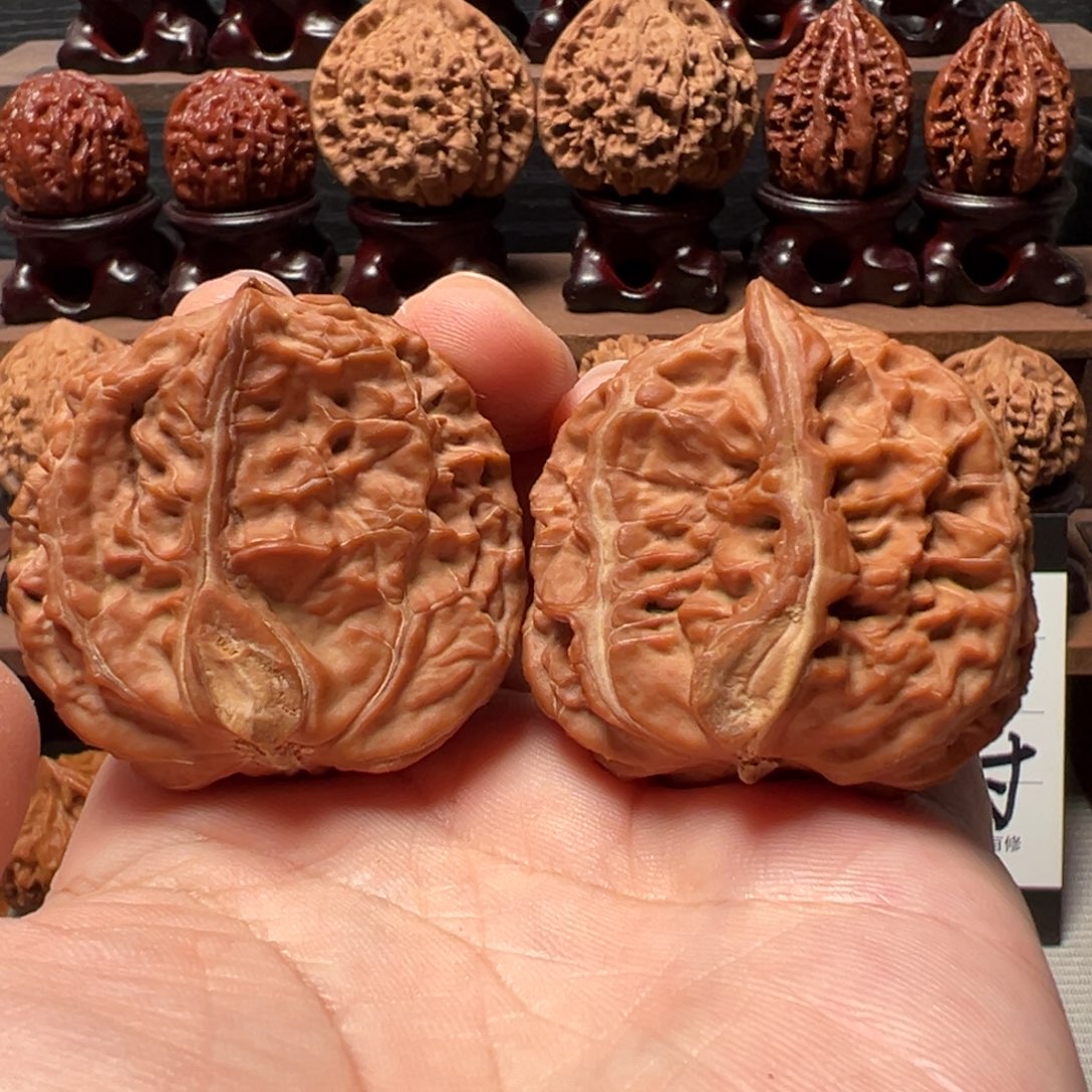 文玩核桃把件白狮子半壁江山