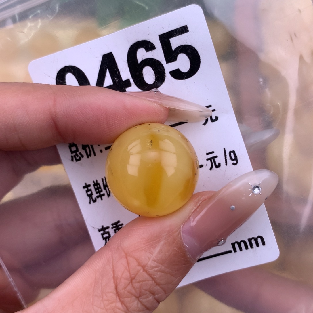 琥珀未镶嵌珠宝奇石19.5 植物