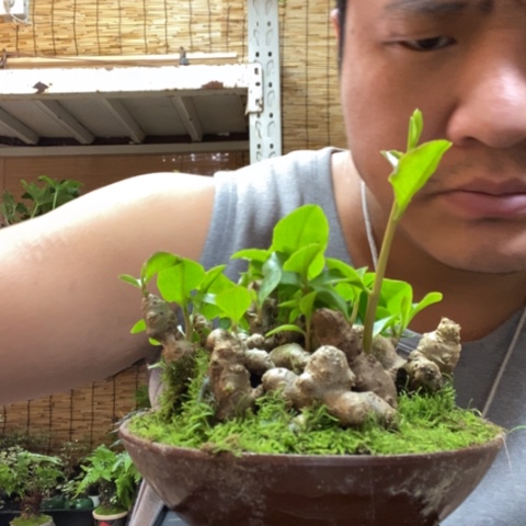 红陶我**嘎一物一拍所见即所得129