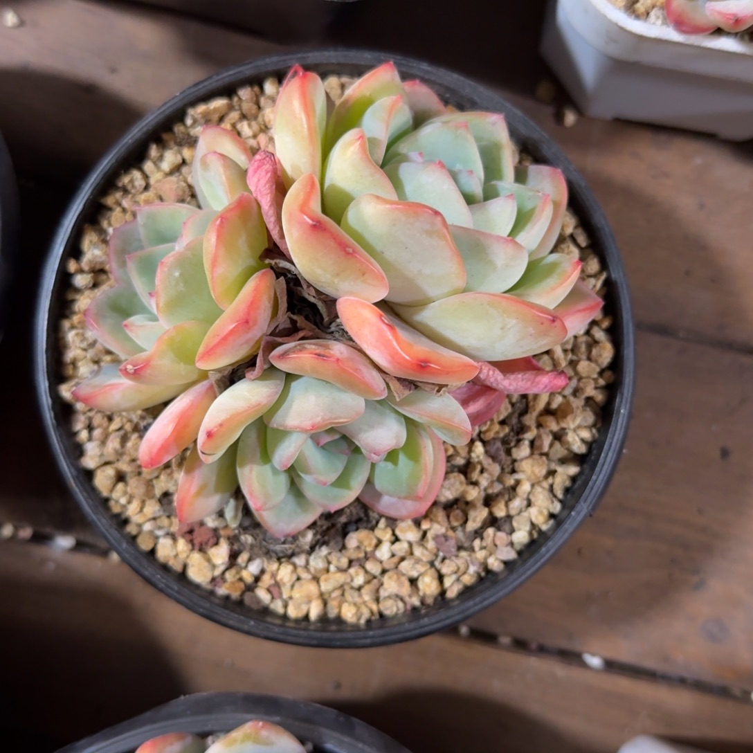 轰动1111111111111111111111