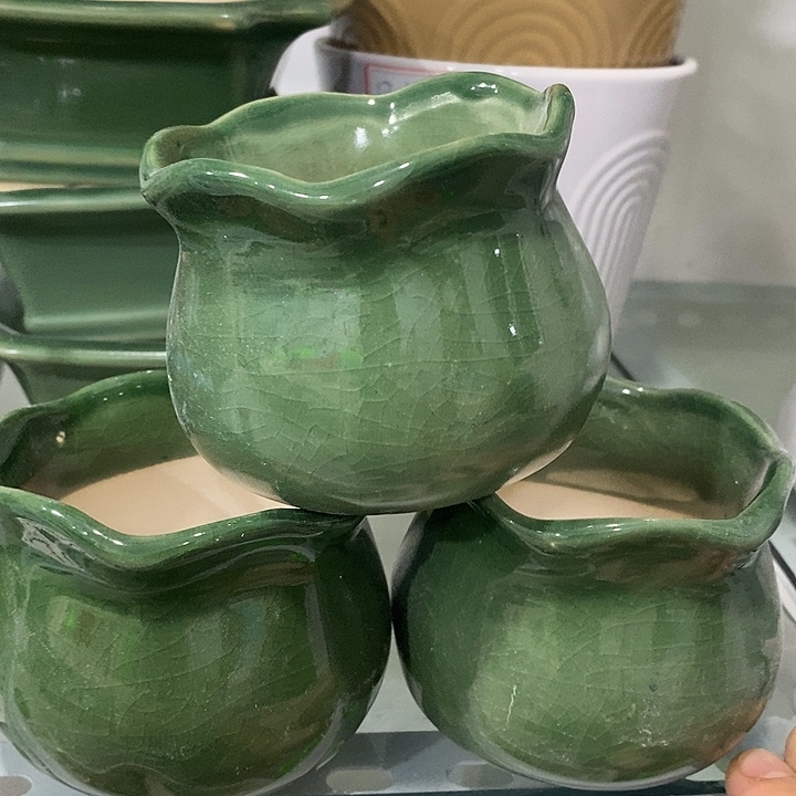 花盆抢购清货马上开始