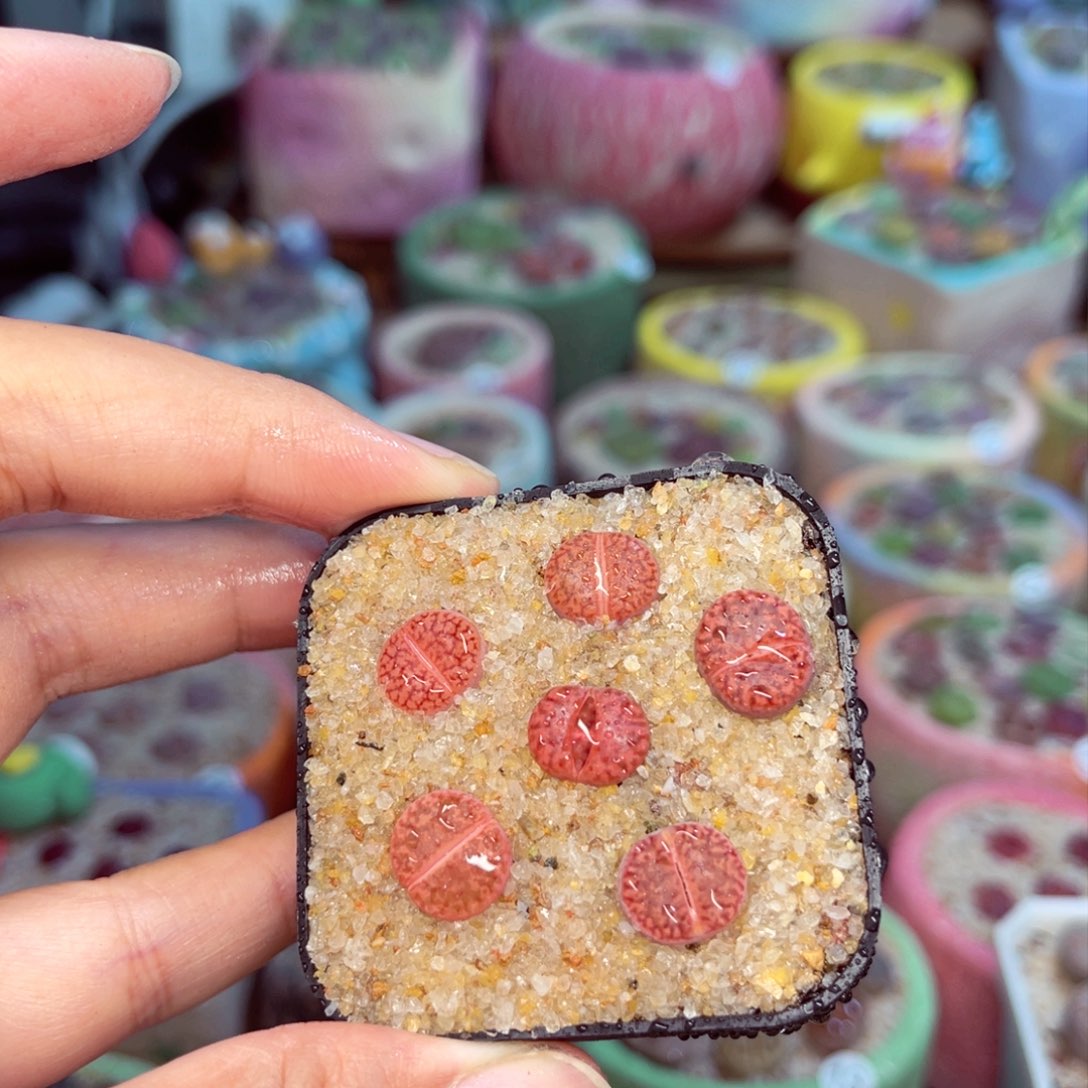 993。888888888888888888