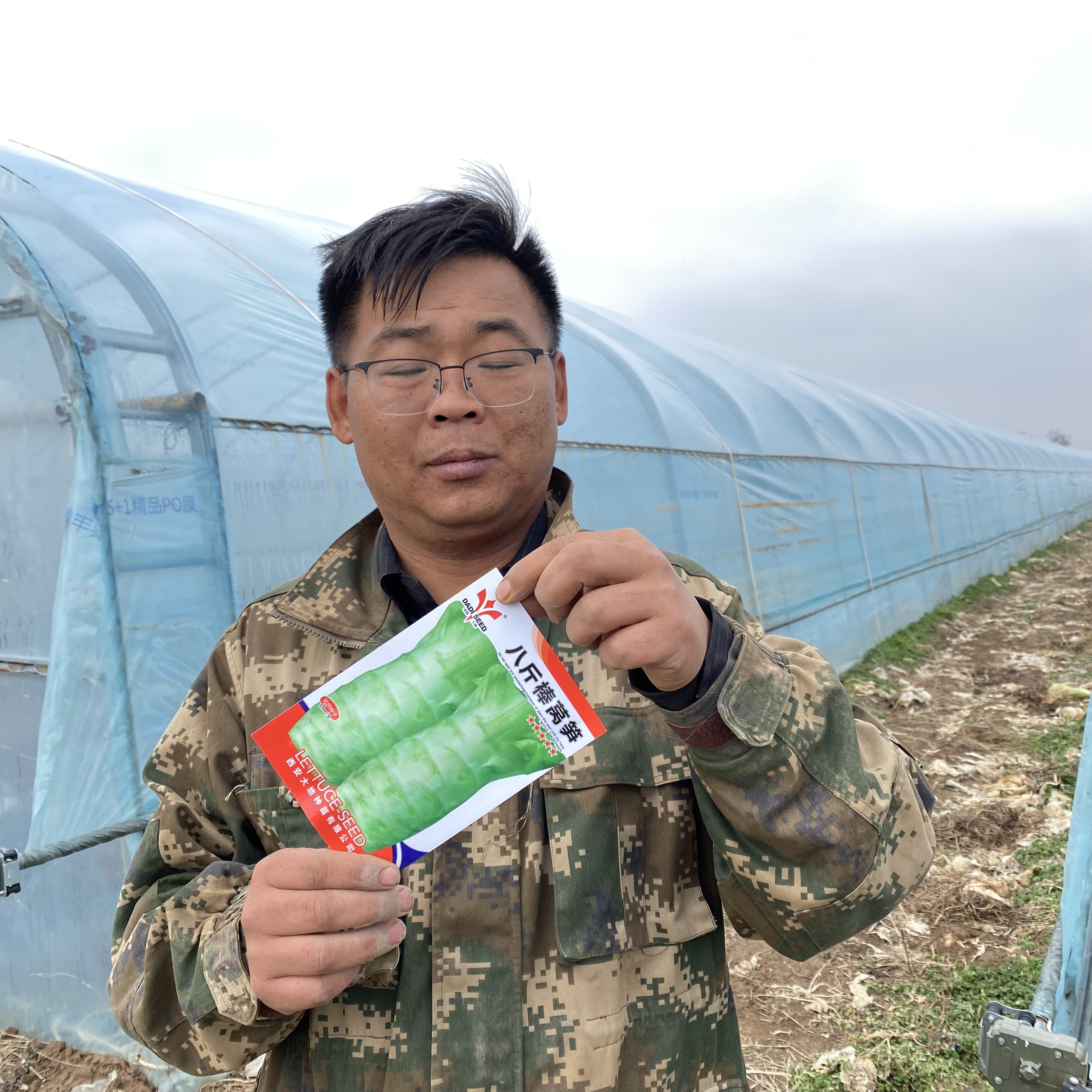 蔬菜种植阳台庭院种子八斤棒莴笋种子