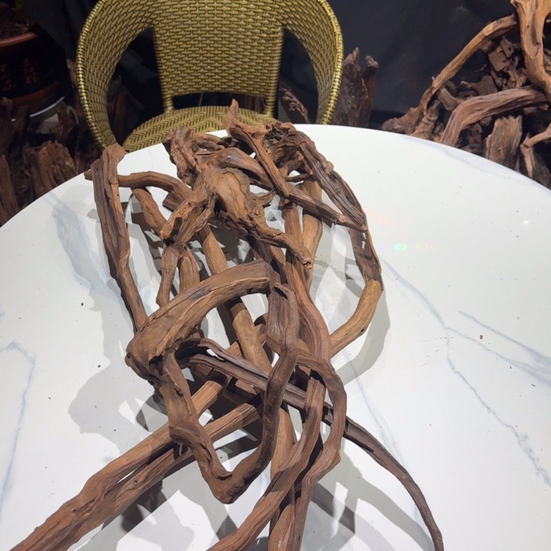 一***酒香榧木鱼缸造景 一物一拍