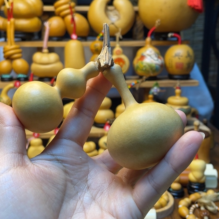 卓**粉天然葫芦自然生长