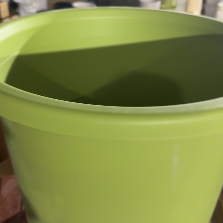 四季12号无托果绿2个