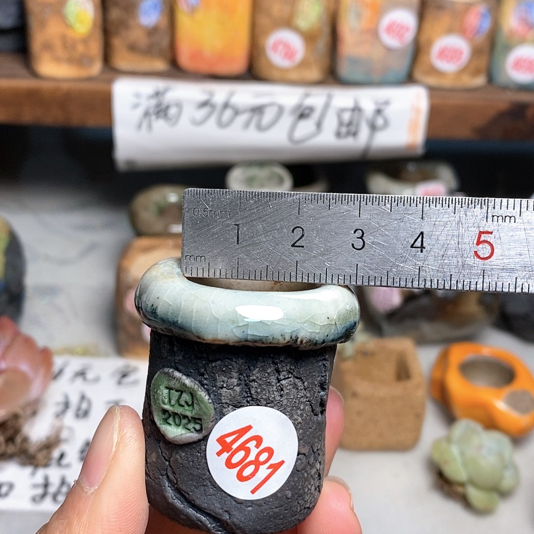 红陶拍5送一个小