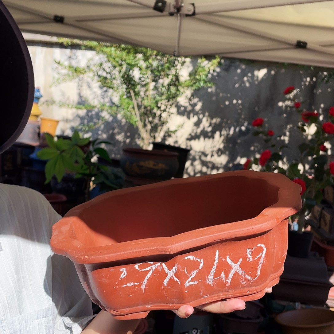 红色莲花29花盆花盆花盆花盆