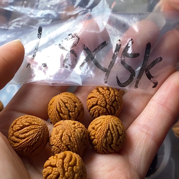 文玩核桃手串秦岭野生龙纹桃核18