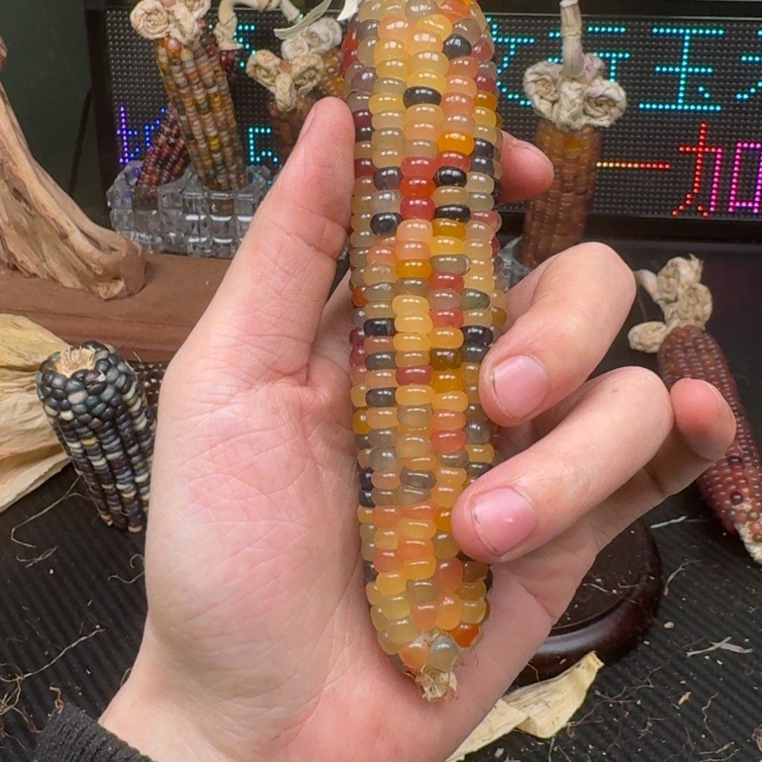 柏香籽/百香籽吊坠奶**熊